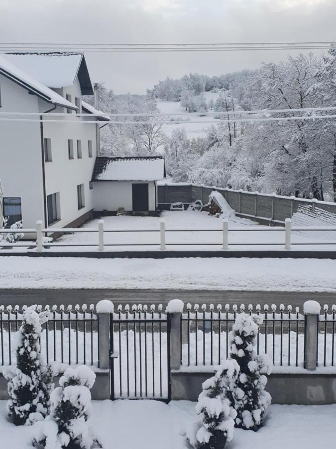 Pensiunea Ronicson Milostea Exteriör bild