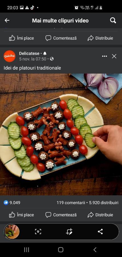Pensiunea Ronicson Milostea Exteriör bild