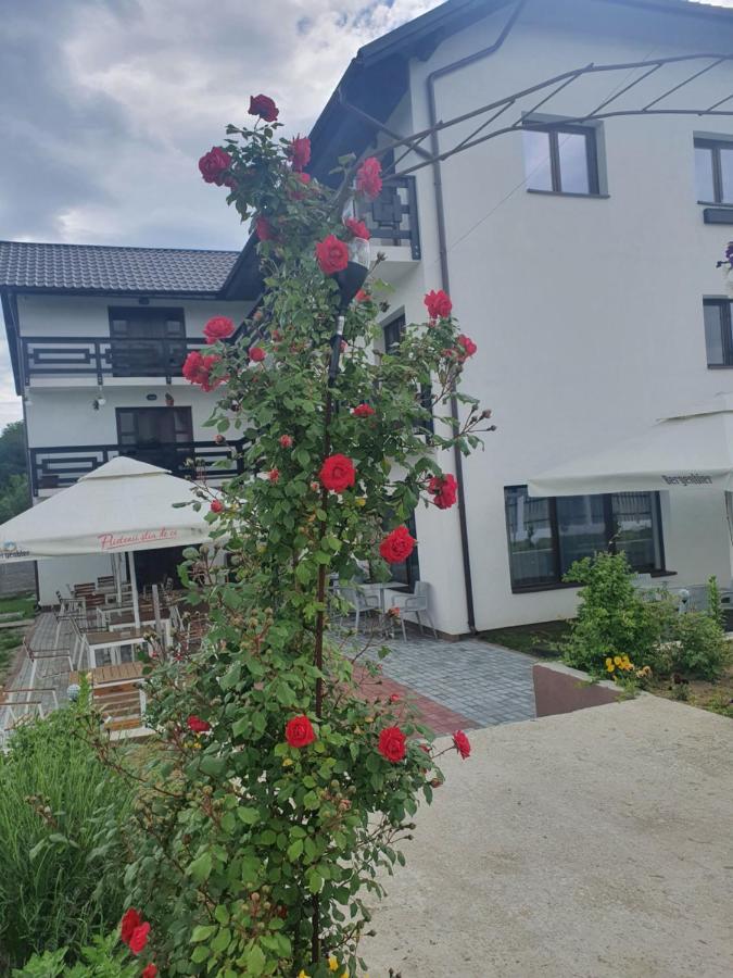 Pensiunea Ronicson Milostea Exteriör bild
