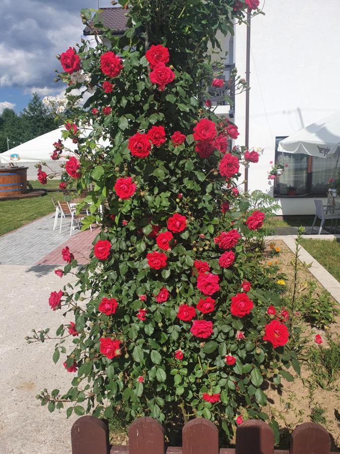 Pensiunea Ronicson Milostea Exteriör bild